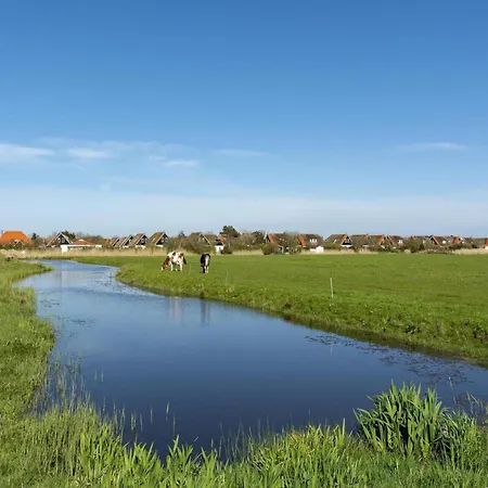 In Near Sandy Callantsoog