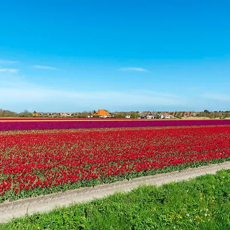 In Near Sandy Callantsoog