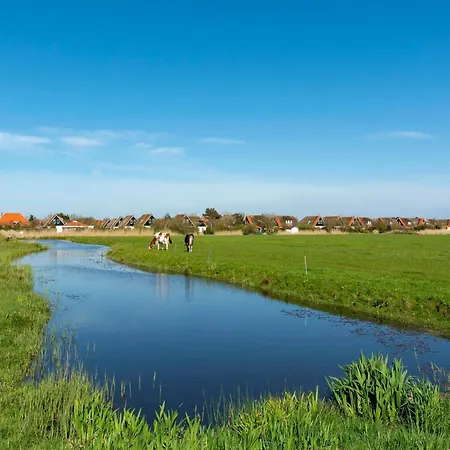 Villa In Near Sandy Callantsoog